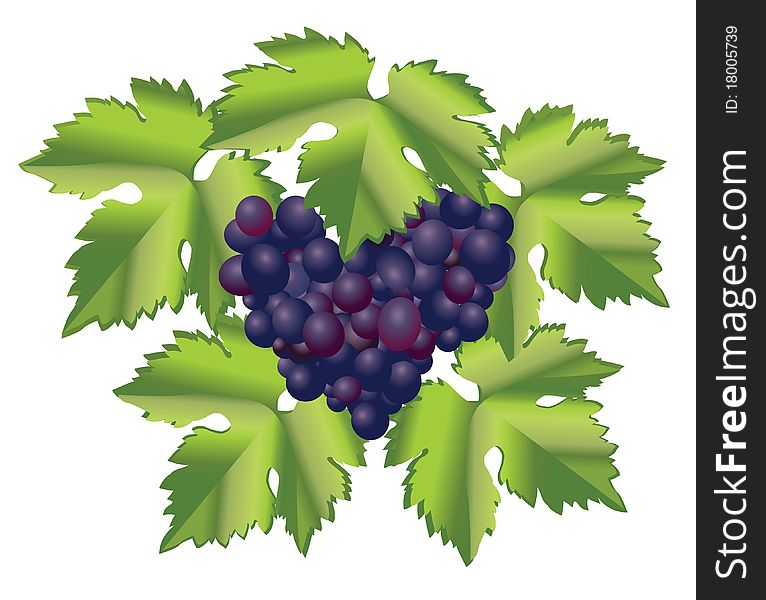 Grape Brush