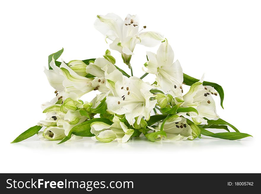 Bunch of alstroemeria isolated on white background