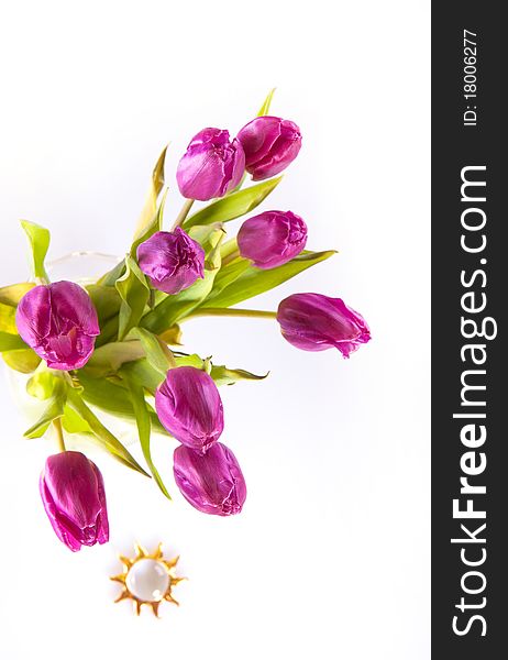 Bouquet of violet tulips over white background