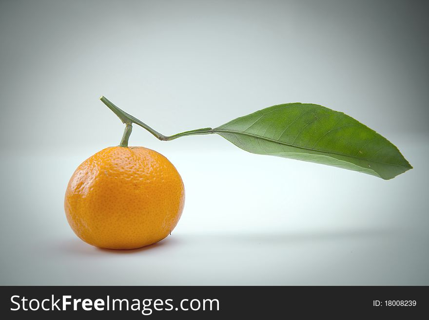 One tasty orange or tangerine
