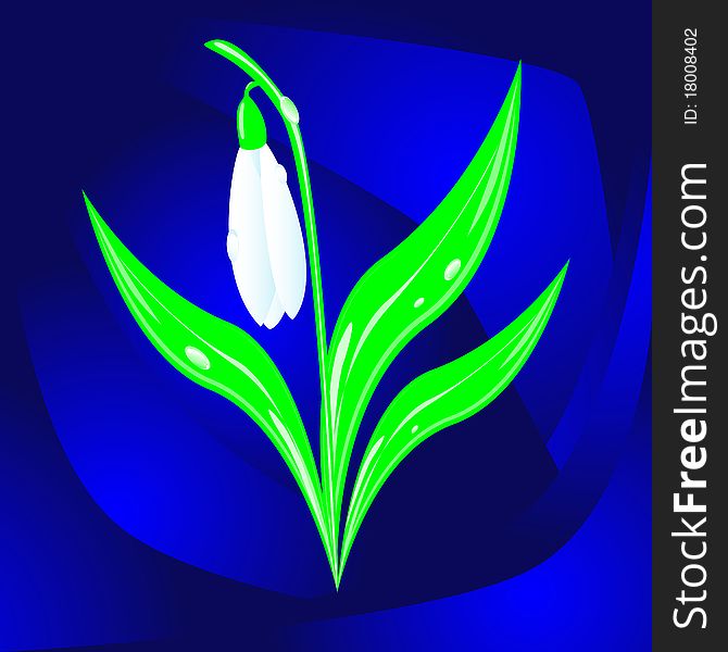 Illustration depicting a snowdrop with drops of thawed snow, vector illustration, eps10