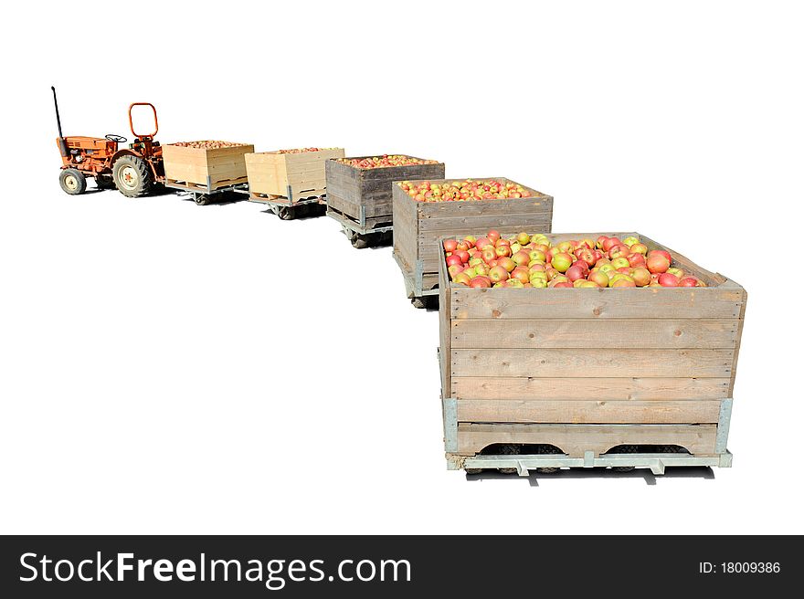 Old tractor carrying wooden crates full of fresh apples. Isolated over white. Old tractor carrying wooden crates full of fresh apples. Isolated over white