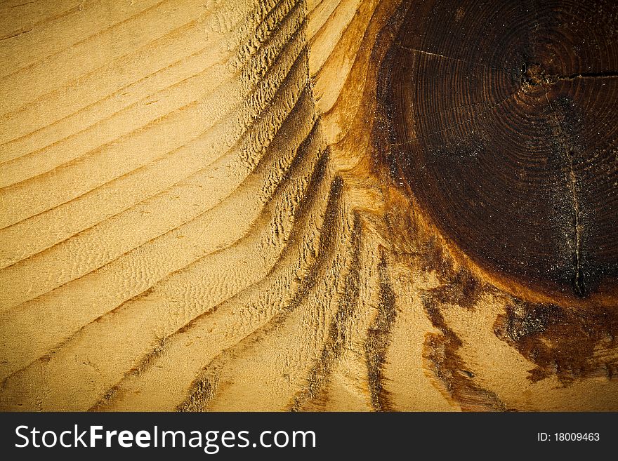 Wooden background wiht year rings