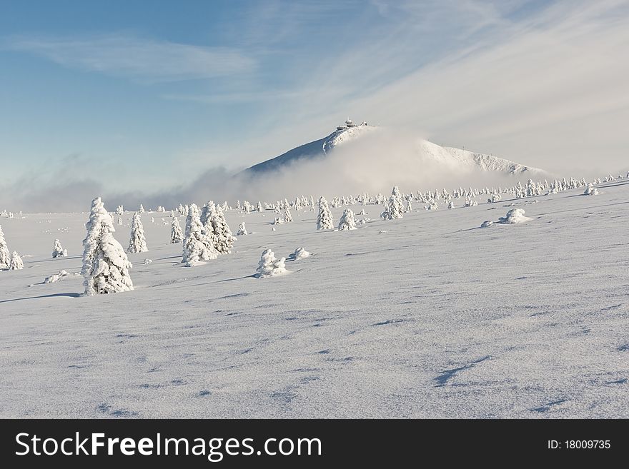 Beautiful winter mood, snow covered landscape. Beautiful winter mood, snow covered landscape