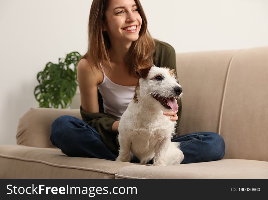 Young woman with her cute Jack Russell Terrier on sofa at home. Lovely pet