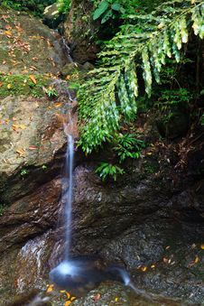 Waterfall In A Tropical Forest Stock Photos