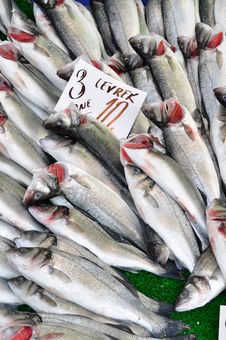 Fish Market Stock Photography Fish Market Stock Photography