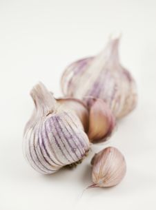 Clove And Heads Of Garlic Stock Images