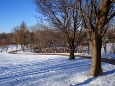 Winter Park Royalty Free Stock Image Winter Park Royalty Free Stock Image