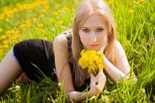 Woman With Dandelions Stock Photo Woman With Dandelions Stock Photo