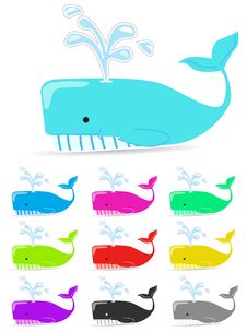 Color Whale Stock Images Color Whale Stock Images