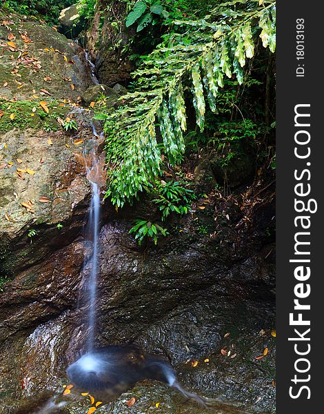 Waterfall In A Tropical Forest