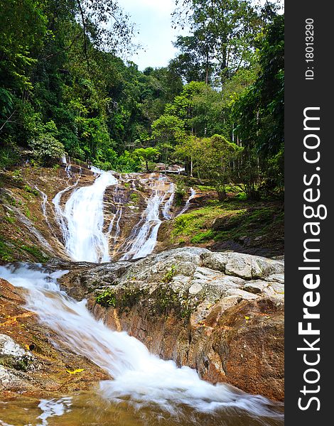 Water fall in a tropical rain forest. Water fall in a tropical rain forest