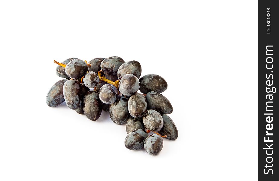 Black grape with it's bunch on white isolated background. Black grape with it's bunch on white isolated background.