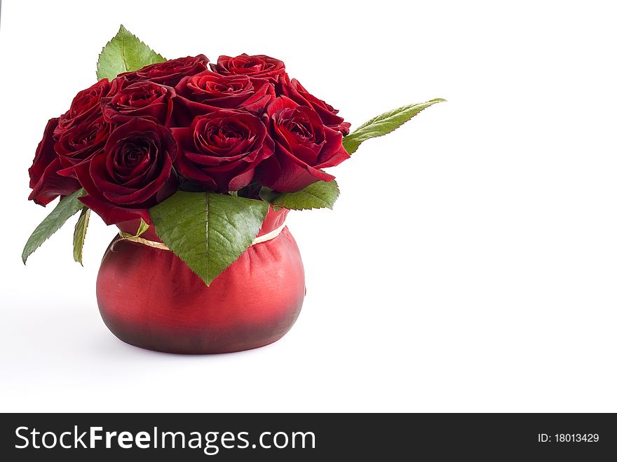 Beautiful roses in the red pot over white background. Beautiful roses in the red pot over white background