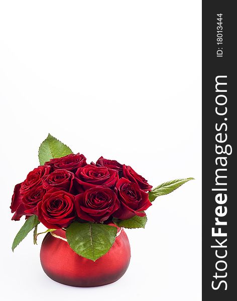 Beautiful roses in the red pot over white background. Beautiful roses in the red pot over white background