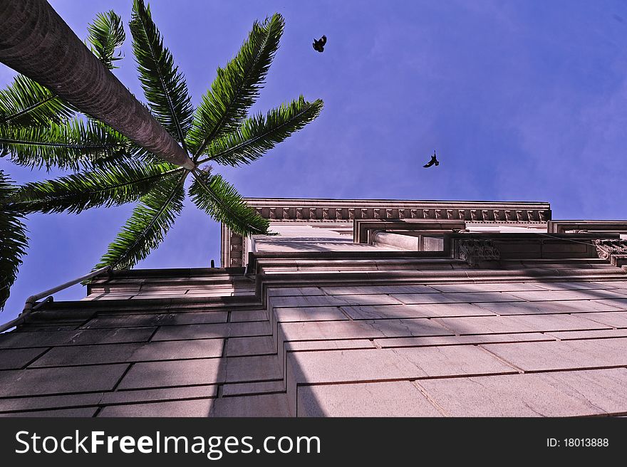 Historical building , birds and tree