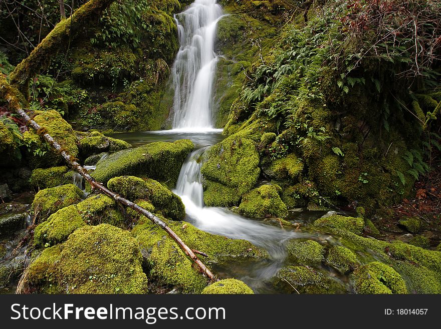 Shot in Merlin Or, secluded a ways off the road and up the trails. Shot focusing on the mossy covered rocks. Shot in Merlin Or, secluded a ways off the road and up the trails. Shot focusing on the mossy covered rocks.