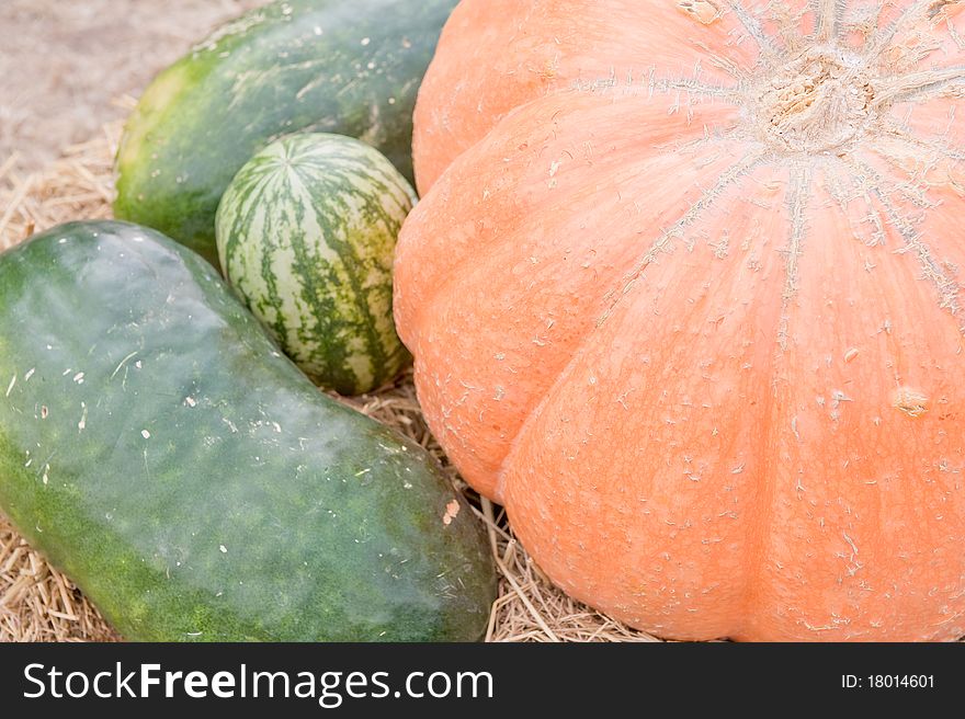 Pumpkins and watermelon harvest on hay. Pumpkins and watermelon harvest on hay.