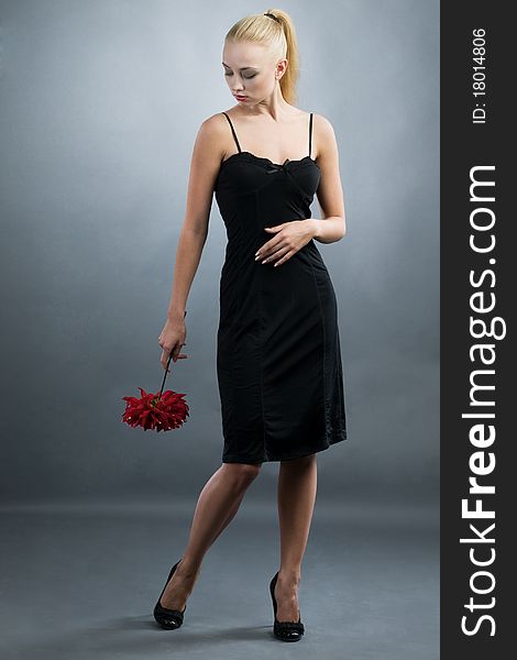 Elegant blonde girl in black dress and red flower at hand. Elegant blonde girl in black dress and red flower at hand