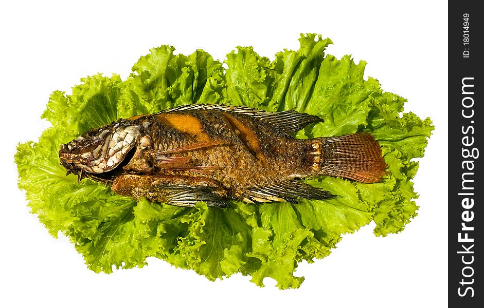 Tilapia fish on green vegetable