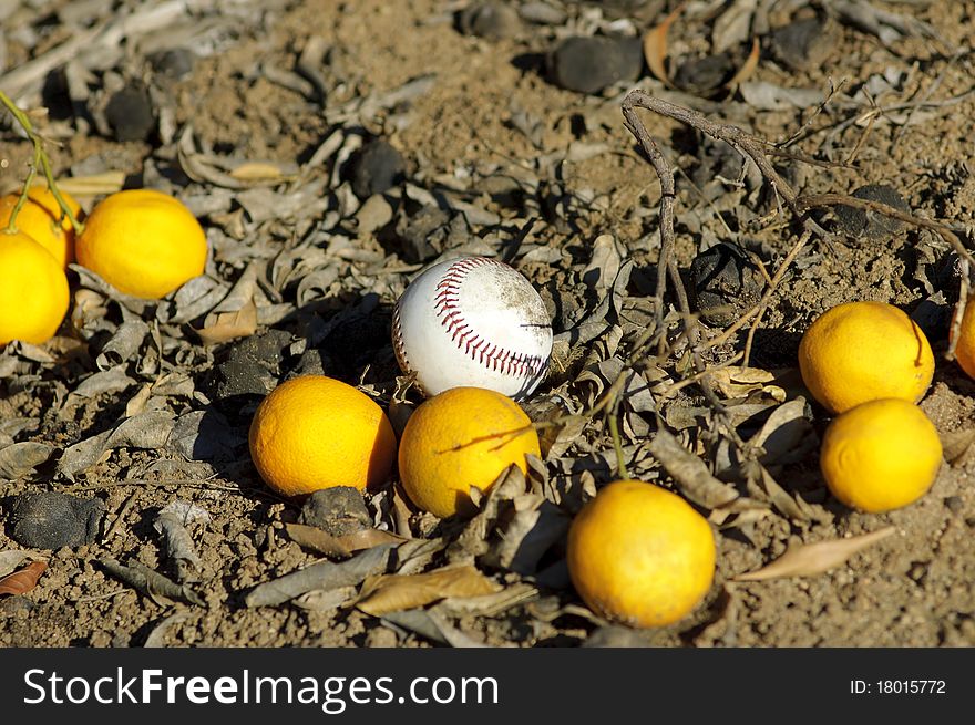 Baseball ball and oranges on a ground