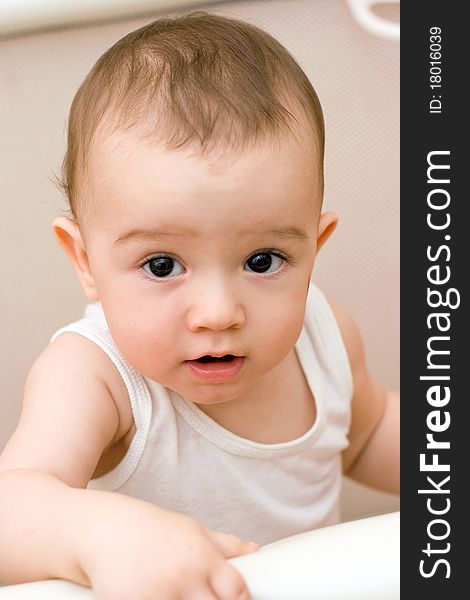Cute Caucasian Baby In Manege