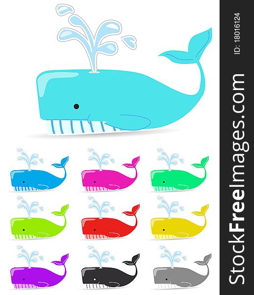 Color whale isolated on white