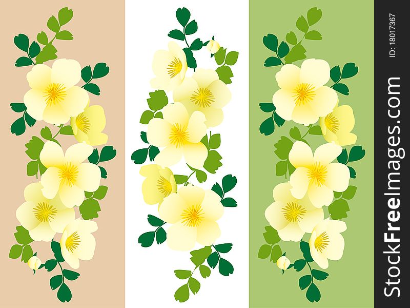 Drawing of Three flower background. Drawing of Three flower background