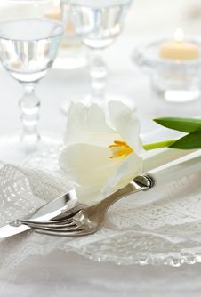 Place-setting With White Tulip And Napkin Stock Image Place-setting With White Tulip And Napkin Stock Image