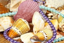 Sea ​​shells And Beads Royalty Free Stock Photography