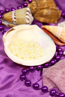 Sea ​​shells And Beads Stock Photos