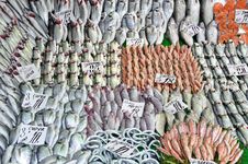Fish Market Stock Image Fish Market Stock Image