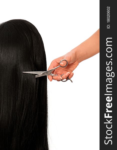 Hairdresser cutting young woman with long black hair. Hairdresser cutting young woman with long black hair