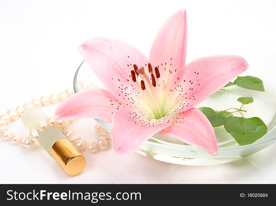 Bottle of spirits and pink lily on a white background