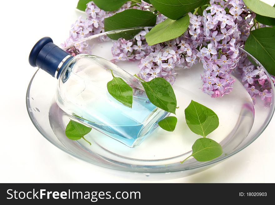 Bottle And Branch Of A Lilac