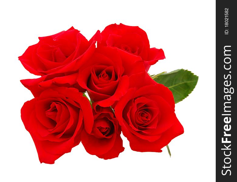 Beautiful roses red natural holiday
