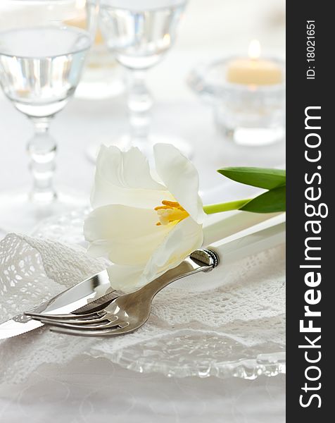 Festive place-setting with white tulip and napkin