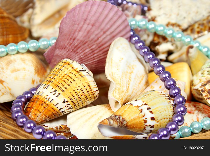 Sea â€‹â€‹shells and beads with pearls