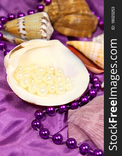 Sea ​​shells and beads with pearls