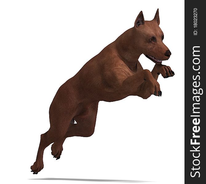 Miniature Pinscher Dog. 3D rendering with clipping path and shadow over white