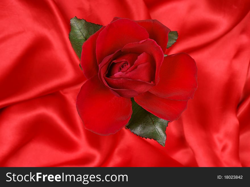 Beautiful red rose over a red silky fabric background