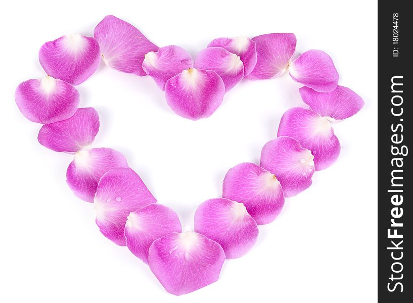 Pink rose petal heart isolated