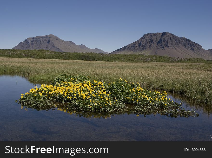 Beautiful Summer Picture In Iceland