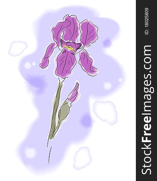 Vector illustration of watercolor iris