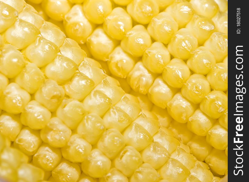 A close up of the kernels of uncooked sweetcorn or maise still on the cob. A close up of the kernels of uncooked sweetcorn or maise still on the cob