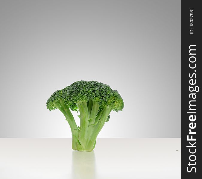 Broccoli vegetable standing on a white shiny table isolated on white background.