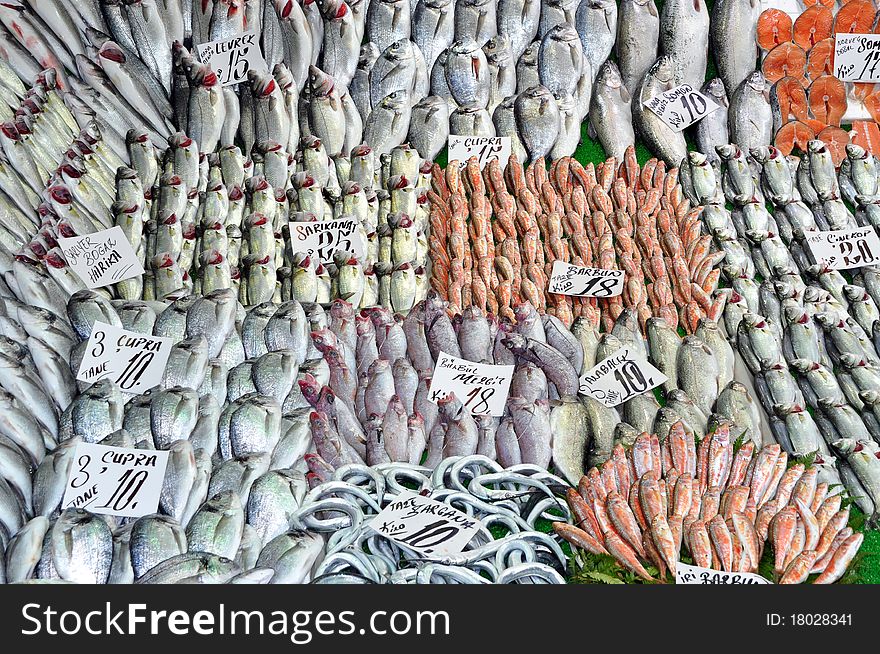 Photo of fresh fish at the Fish Market