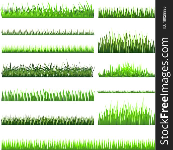 Green grass collection illustration design
