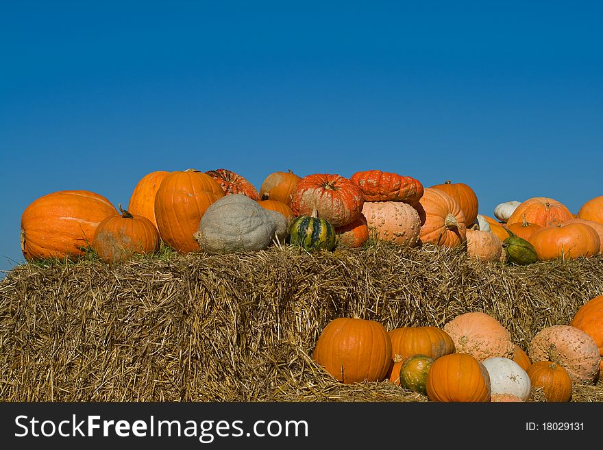 Several pumpkins on bales of straw (hay) against the blue cloudless sky